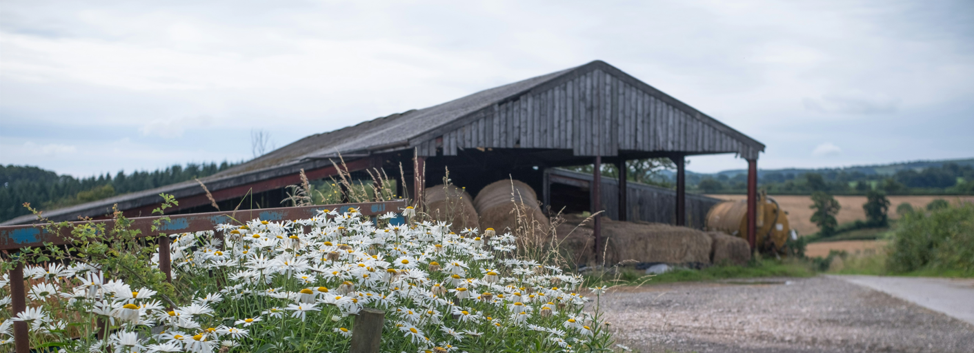 UK Barn